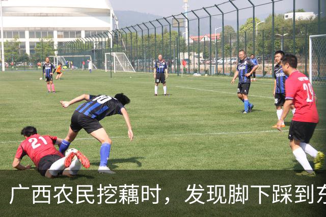 广西农民挖藕时，发现脚下踩到东西，众人合力将其挖出后全都傻眼