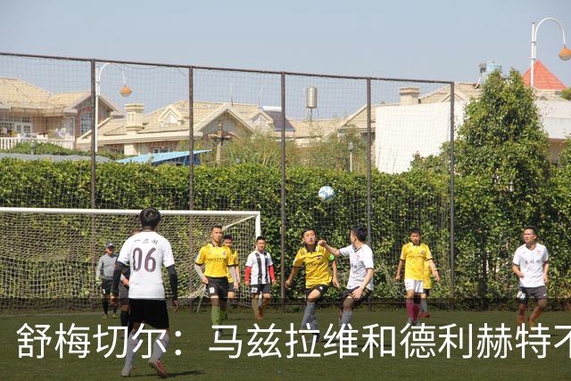 舒梅切尔：马兹拉维和德利赫特不合格，整支球队都没了血性